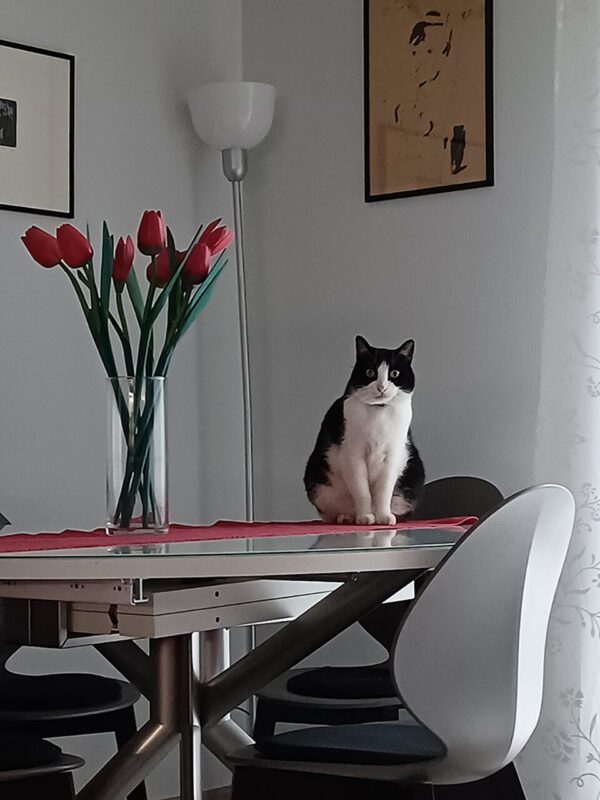 mia